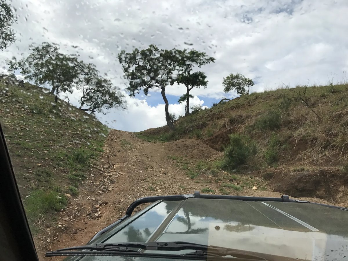 Off-road safari
