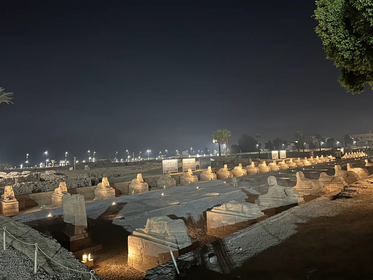Egypt 8