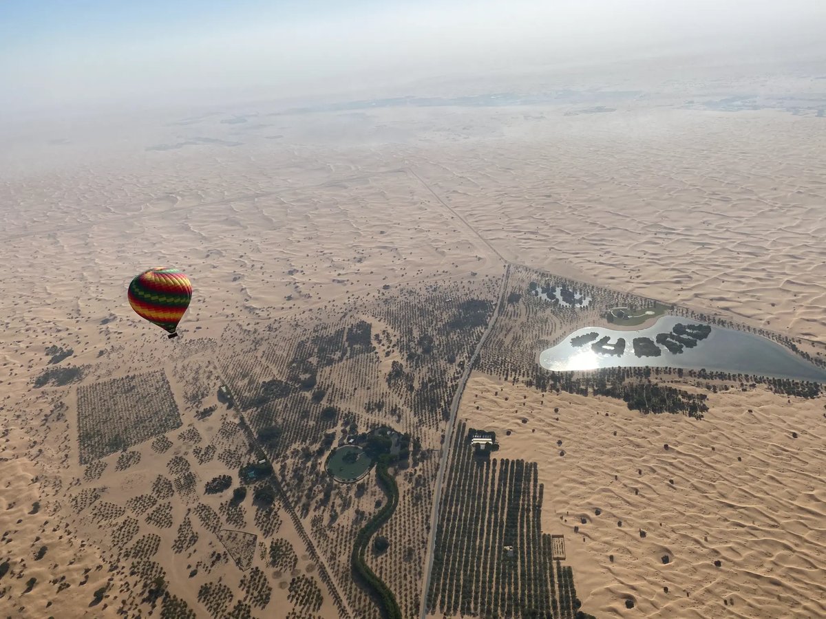 Balloon over oasis